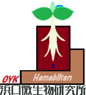 浜口微生物研究所 新ロゴ